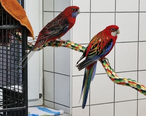 Roberta und Carsten