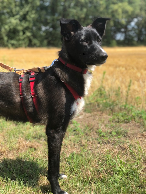 Tinkerbell vermittelt am 24.09.2023