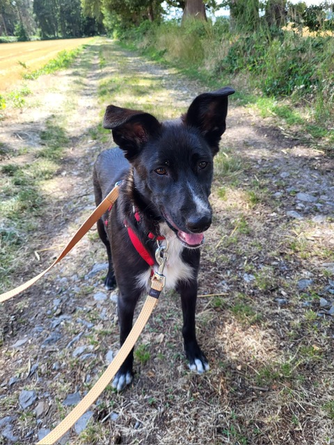 Tinkerbell vermittelt am 24.09.2023