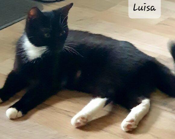 Luisa – Hundeverträglich!