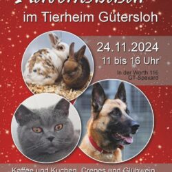 Adventsbasar am 24.11.2024 im Tierheim Gütersloh