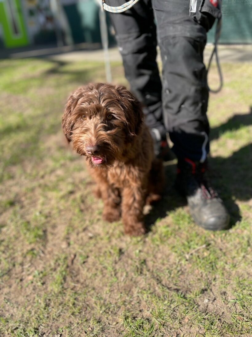 Frieda – RESERVIERT !