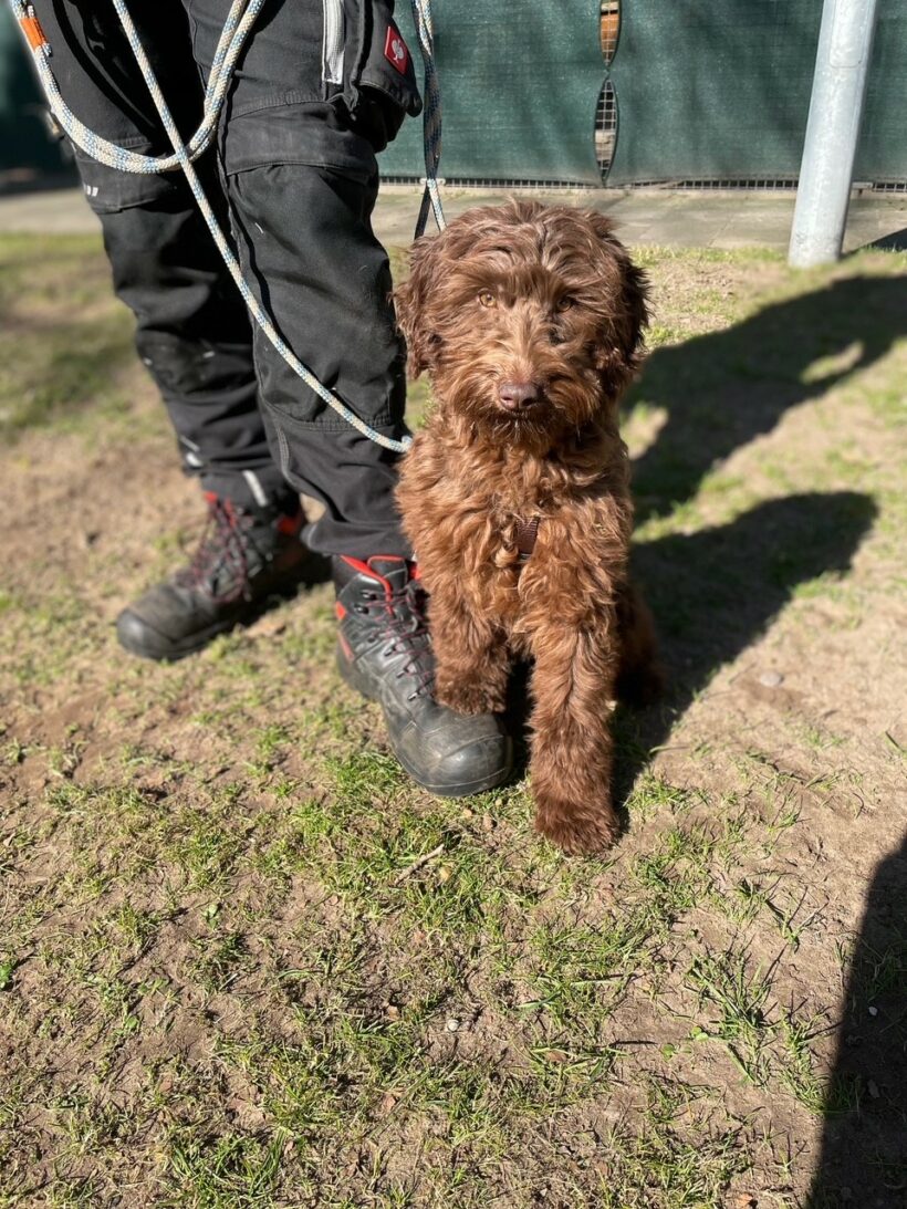 Frieda – RESERVIERT !