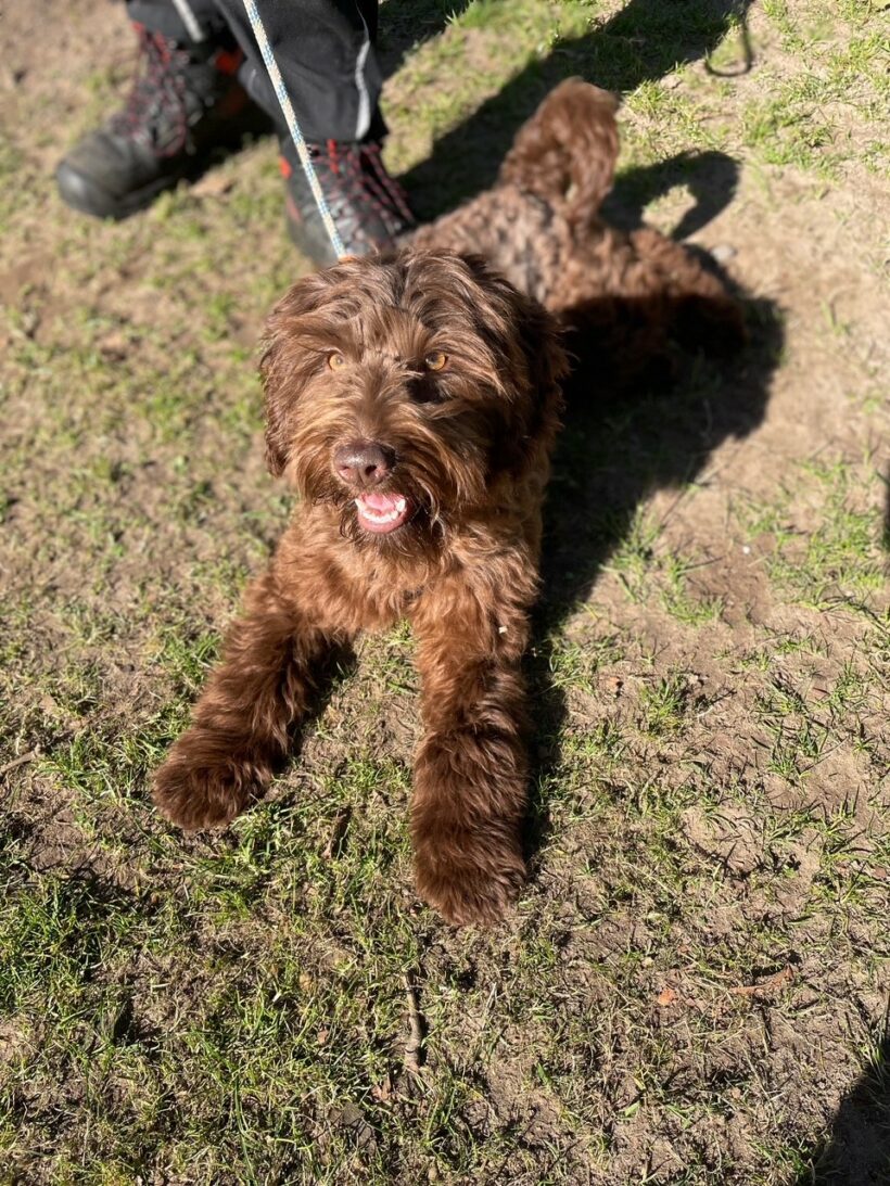 Frieda – RESERVIERT !