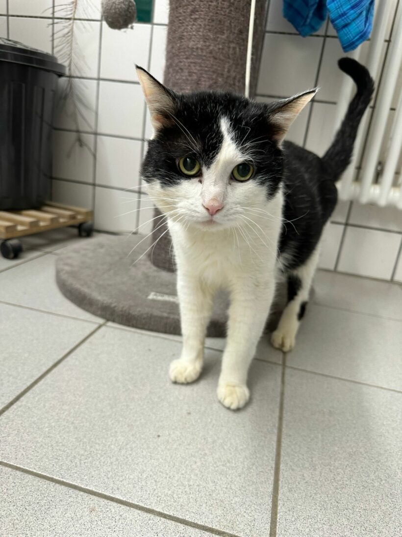 Matt – Paten gesucht!
