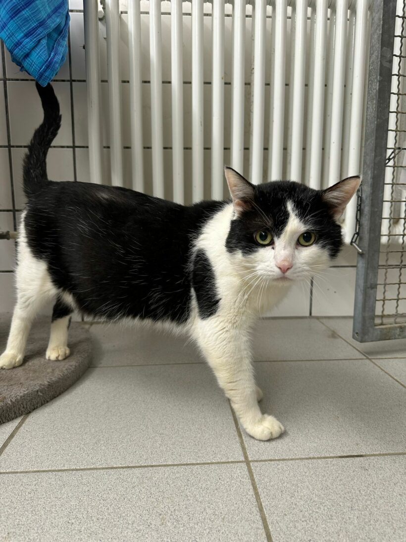 Matt – Paten gesucht!