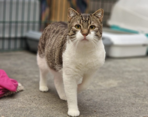 Titus – Paten gesucht!