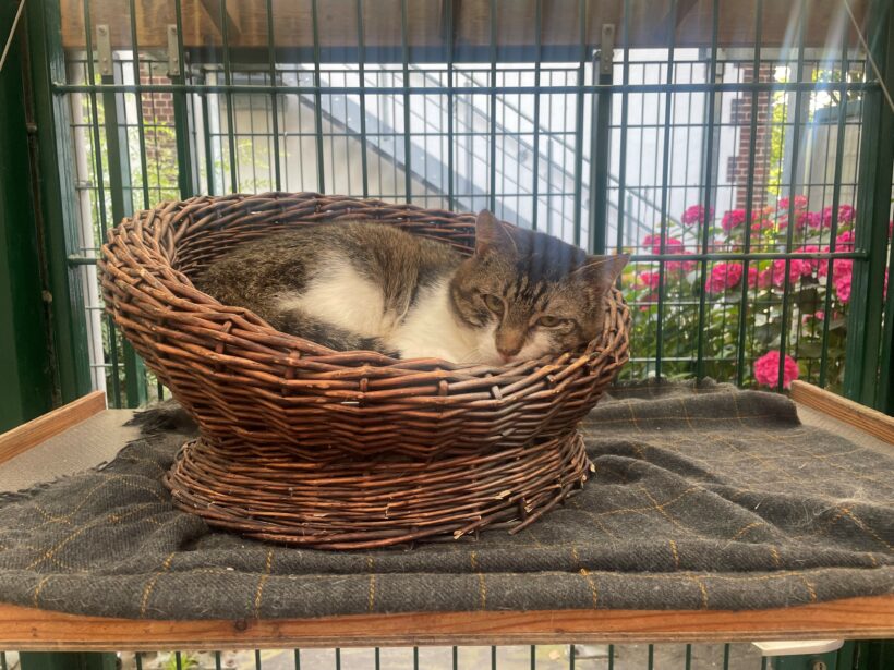 Titus – Paten gesucht!