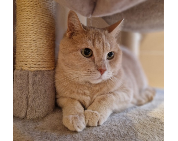 Timmy – vermittelt am 11.06.25