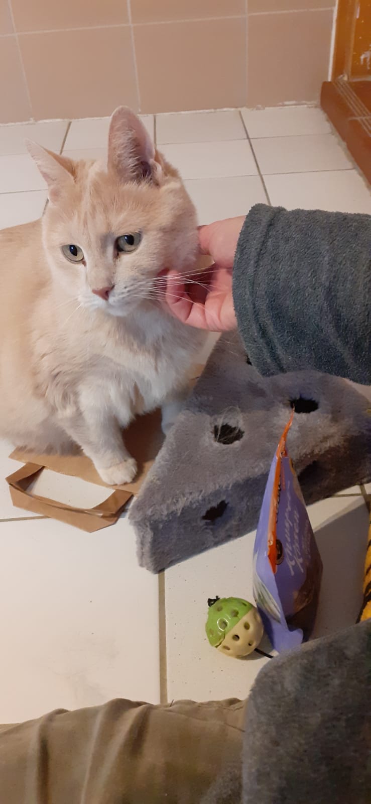 Timmy – vermittelt am 11.06.25