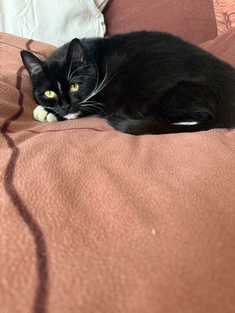 Fiona