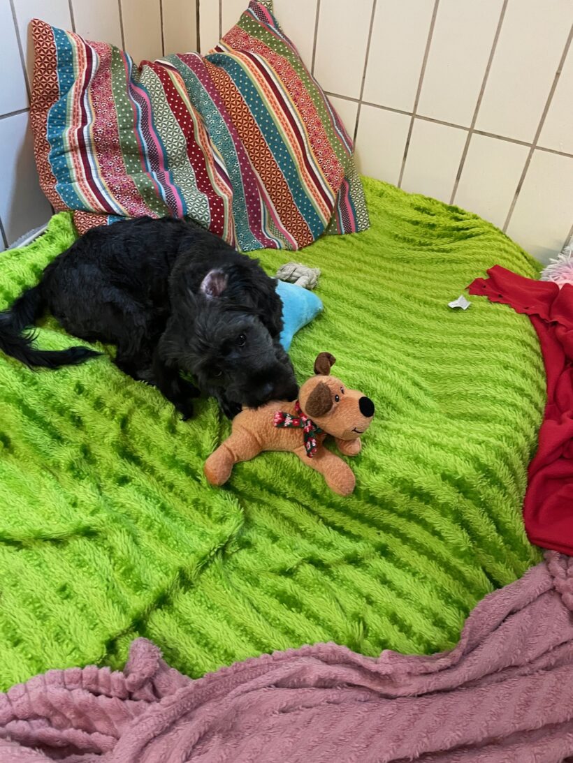Bilbo