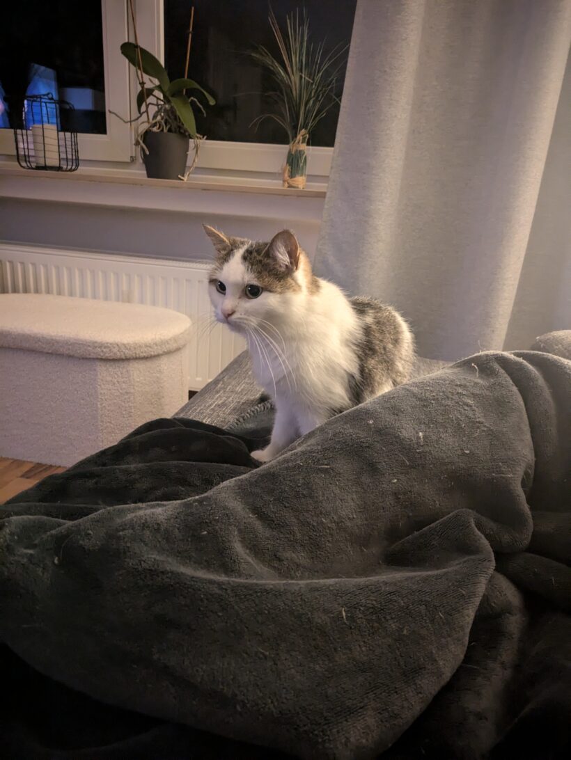 Baby – Wohnungshaltung möglich