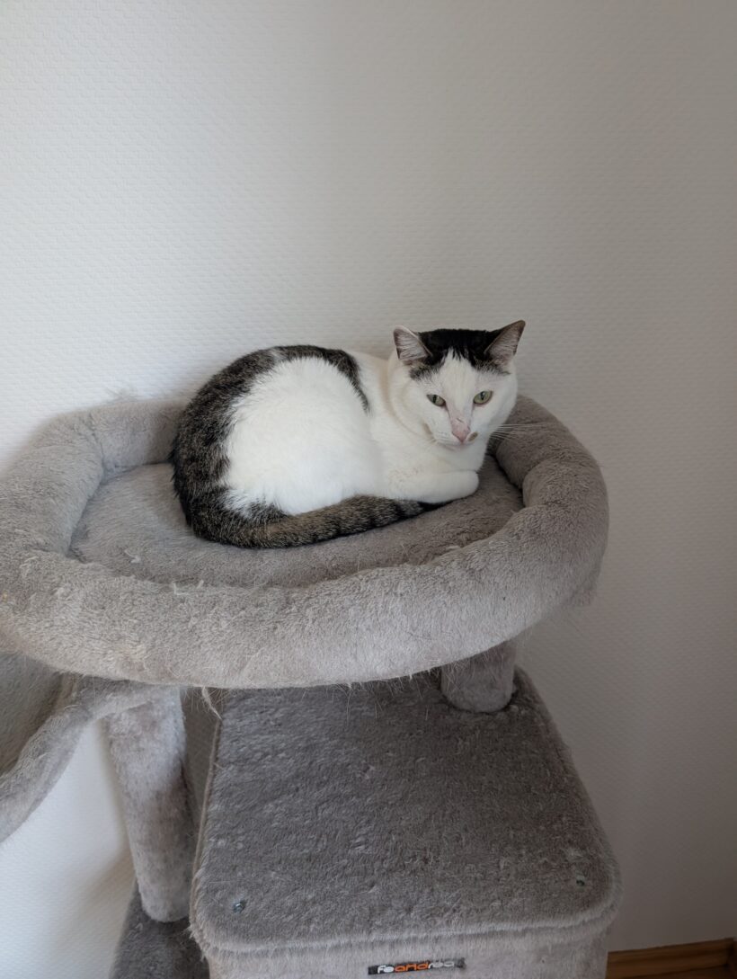 Baby – Wohnungshaltung möglich