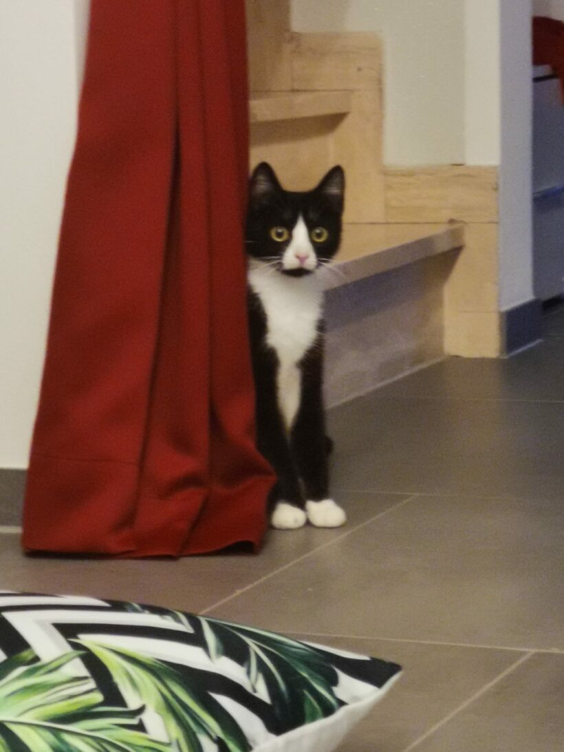 Anja