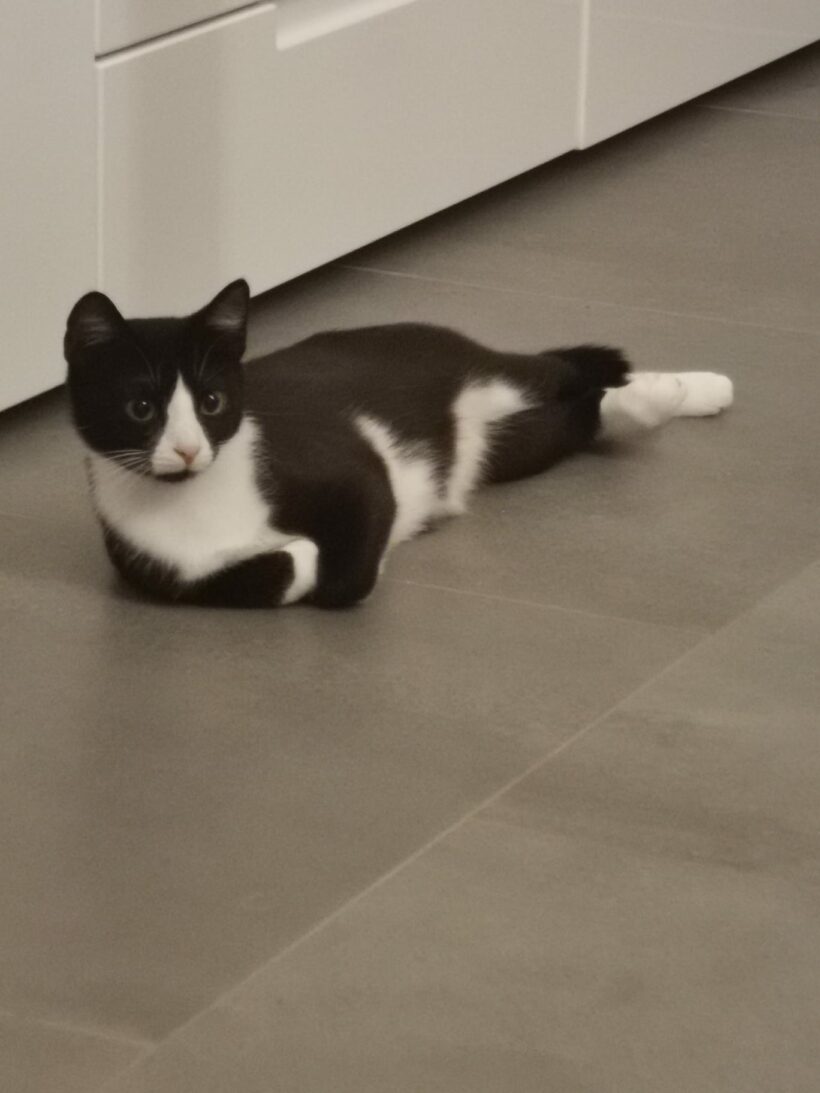 Anja