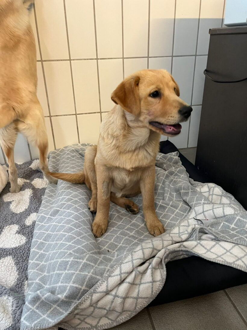 Paula – RESERVIERT !
