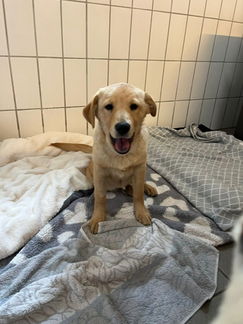 Paula – RESERVIERT !