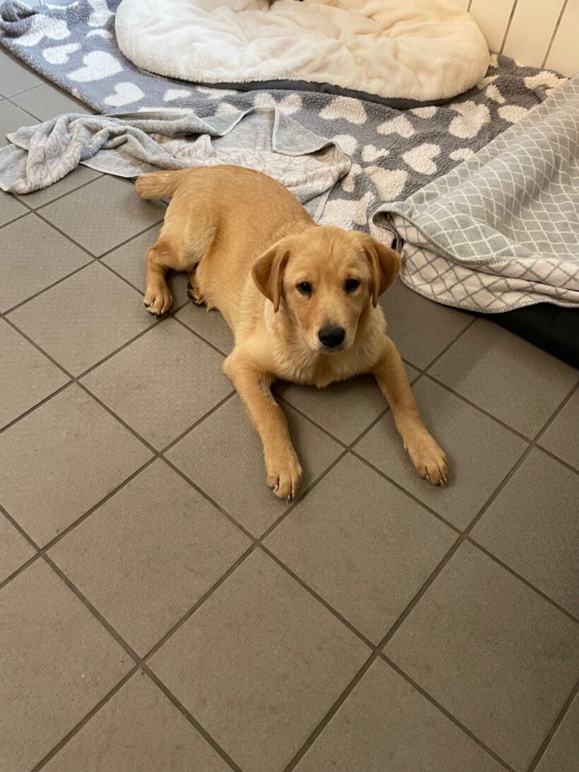 Paula – RESERVIERT !