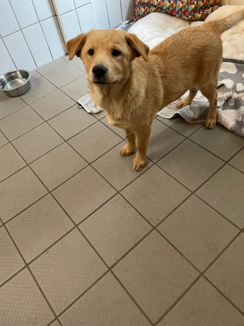 Paula – RESERVIERT !