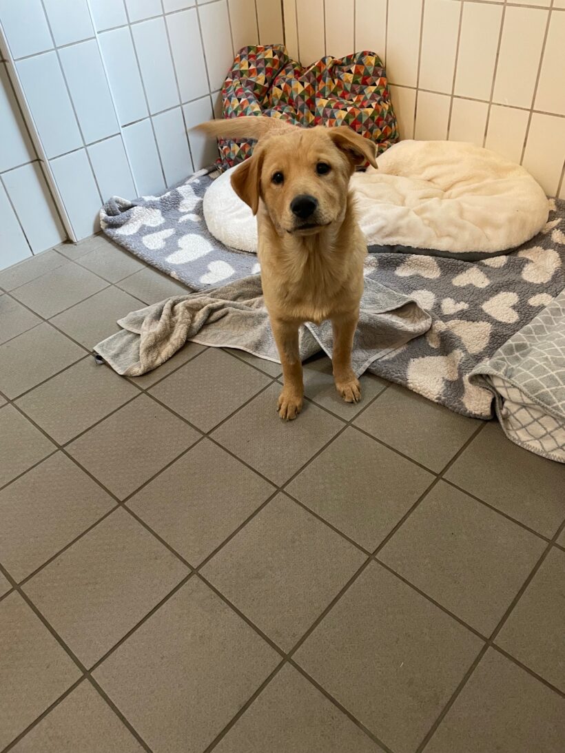 Paula – RESERVIERT !