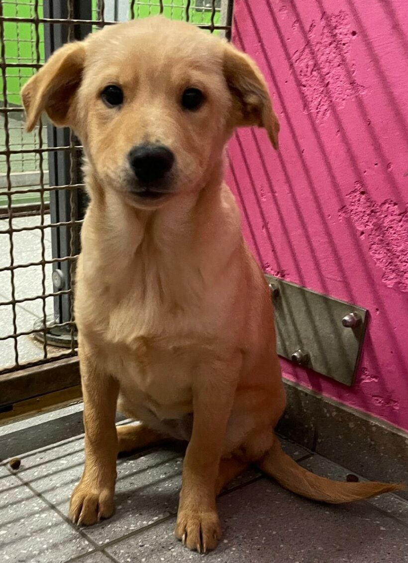 Paula – RESERVIERT !