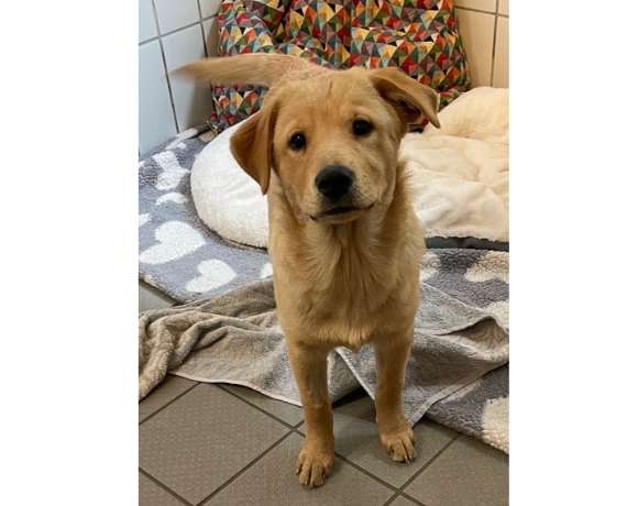 Paula – RESERVIERT !