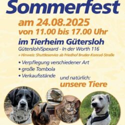 Tag der offenen Tür am 24.08.2025 im Tierheim Gütersloh Tag der offenen Tür am 24.08.2025 im Tierheim Gütersloh