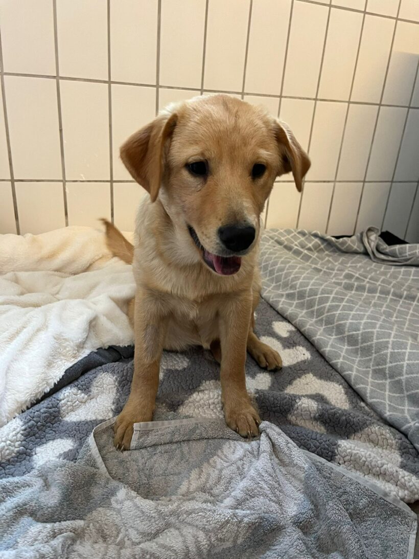 Paula – RESERVIERT !