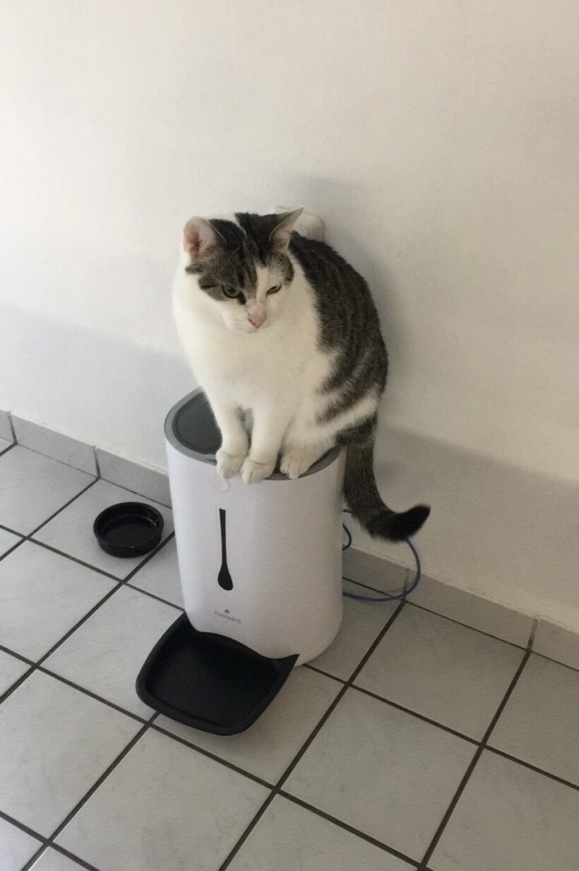 Sammy – Wohnungshaltung