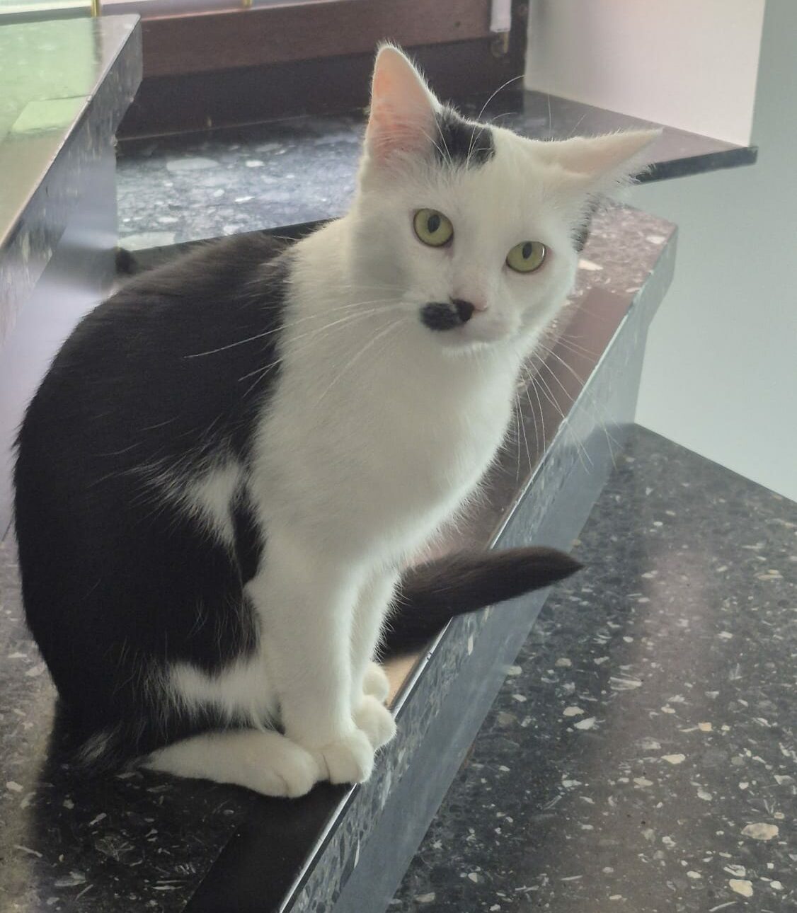 Hanna und Helga – Wohnungshaltung möglich! Hanna und Helga – Wohnungshaltung möglich!