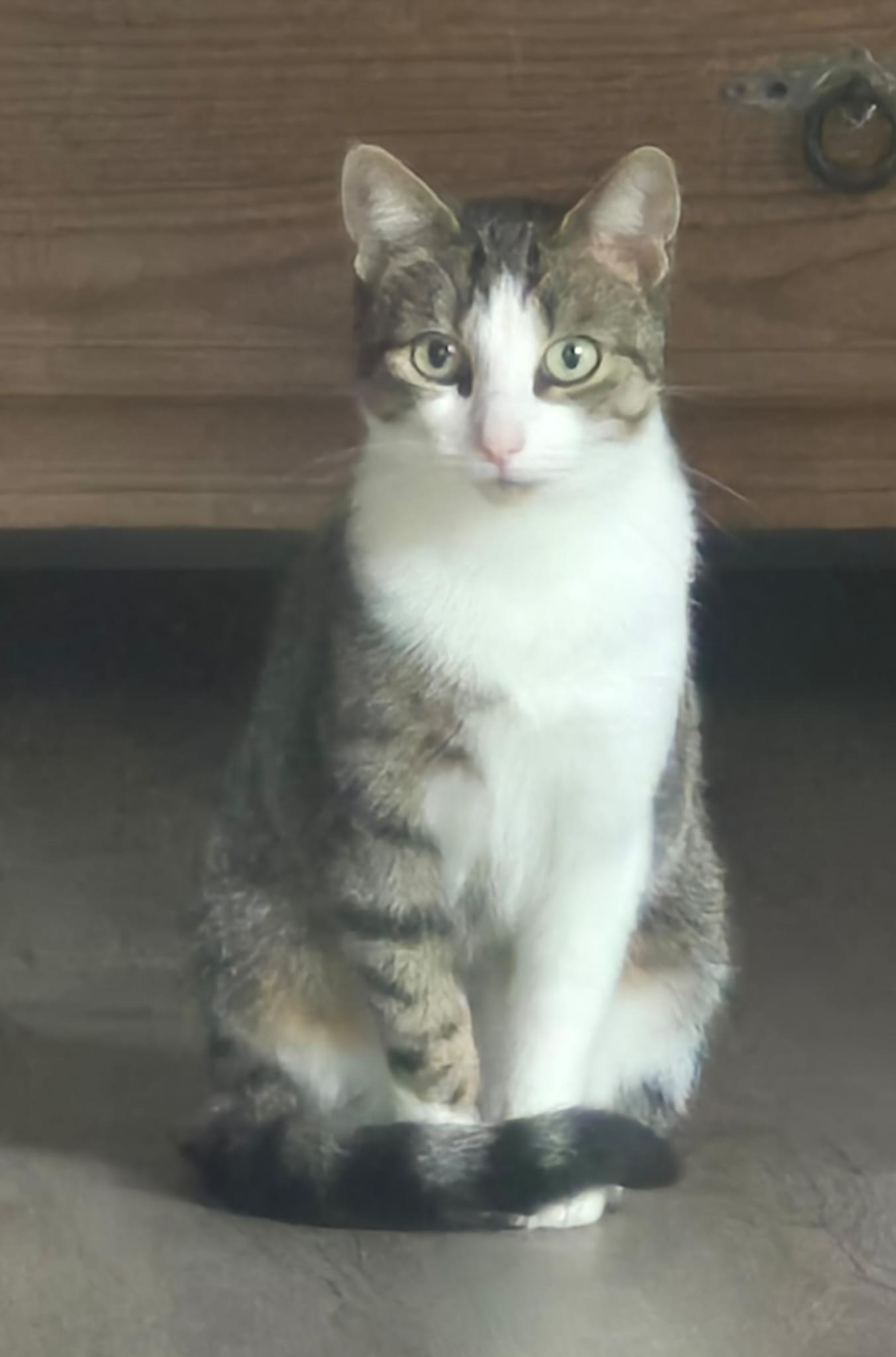 Hanna und Helga – Wohnungshaltung möglich! Hanna und Helga – Wohnungshaltung möglich!