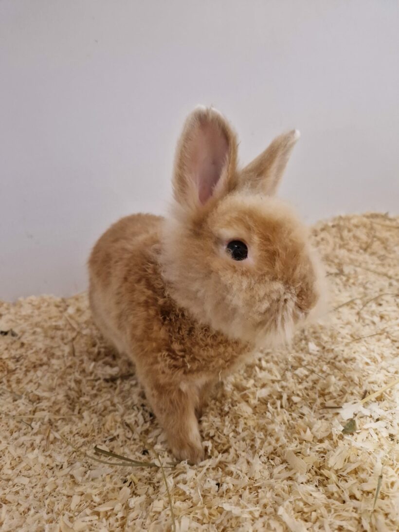 Roland – EC positiv! Roland – EC positiv!