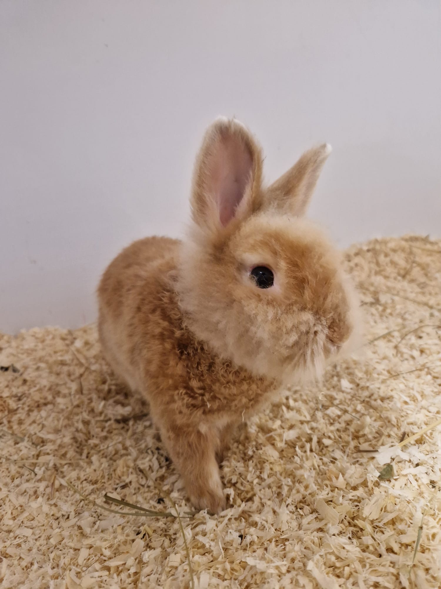 Roland – EC positiv! Roland – EC positiv!