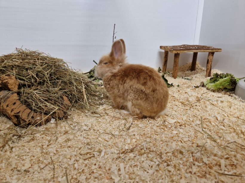 Roland – EC positiv! Roland – EC positiv!