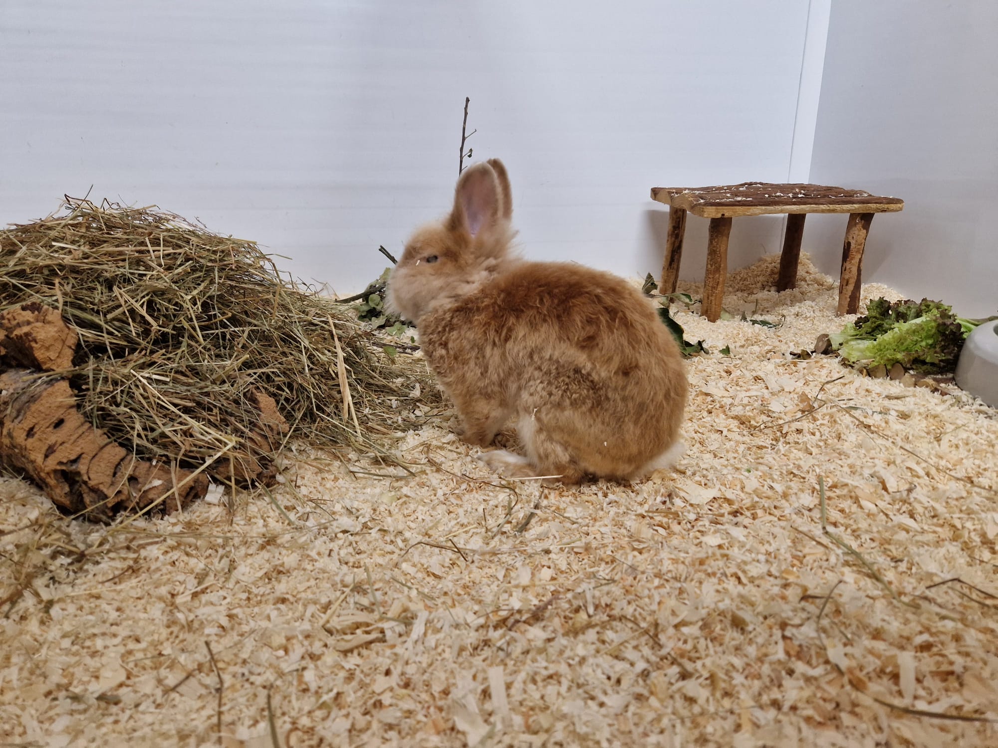 Roland – EC positiv! Roland – EC positiv!