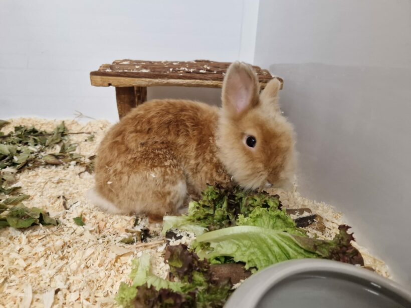 Roland – EC positiv! Roland – EC positiv!