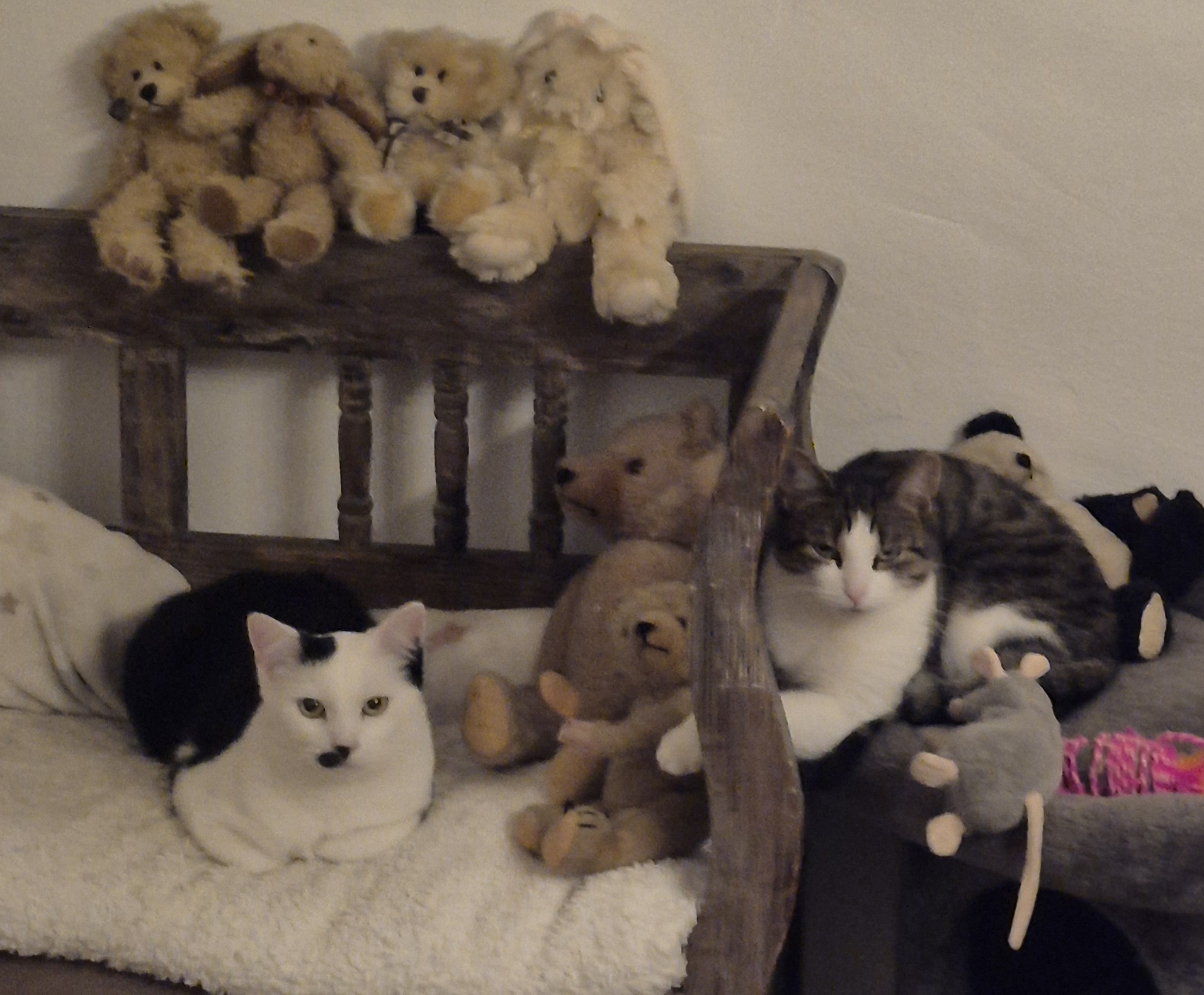 Hanna und Helga – Wohnungshaltung möglich! Hanna und Helga – Wohnungshaltung möglich!