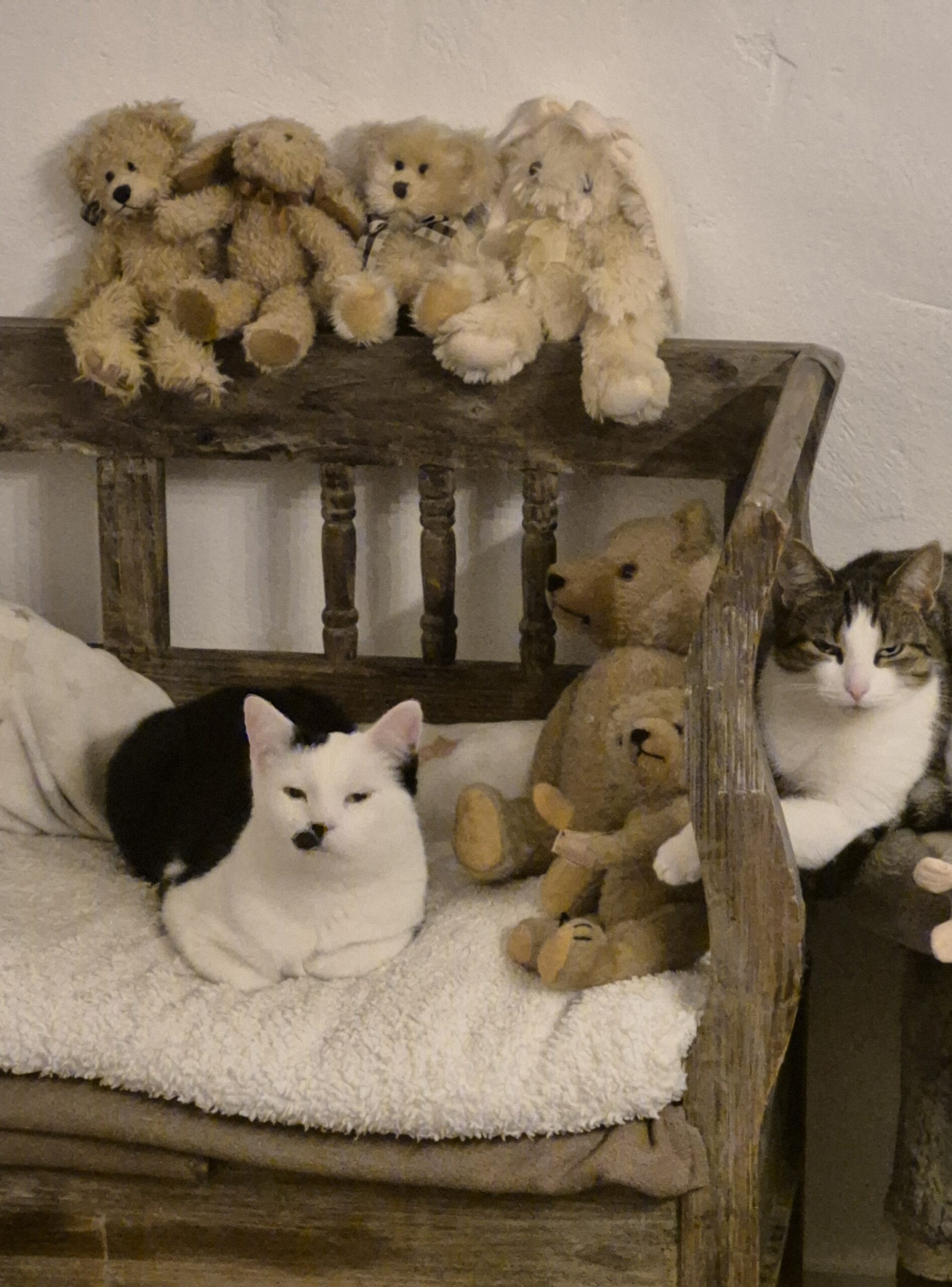 Hanna und Helga – Wohnungshaltung möglich! Hanna und Helga – Wohnungshaltung möglich!