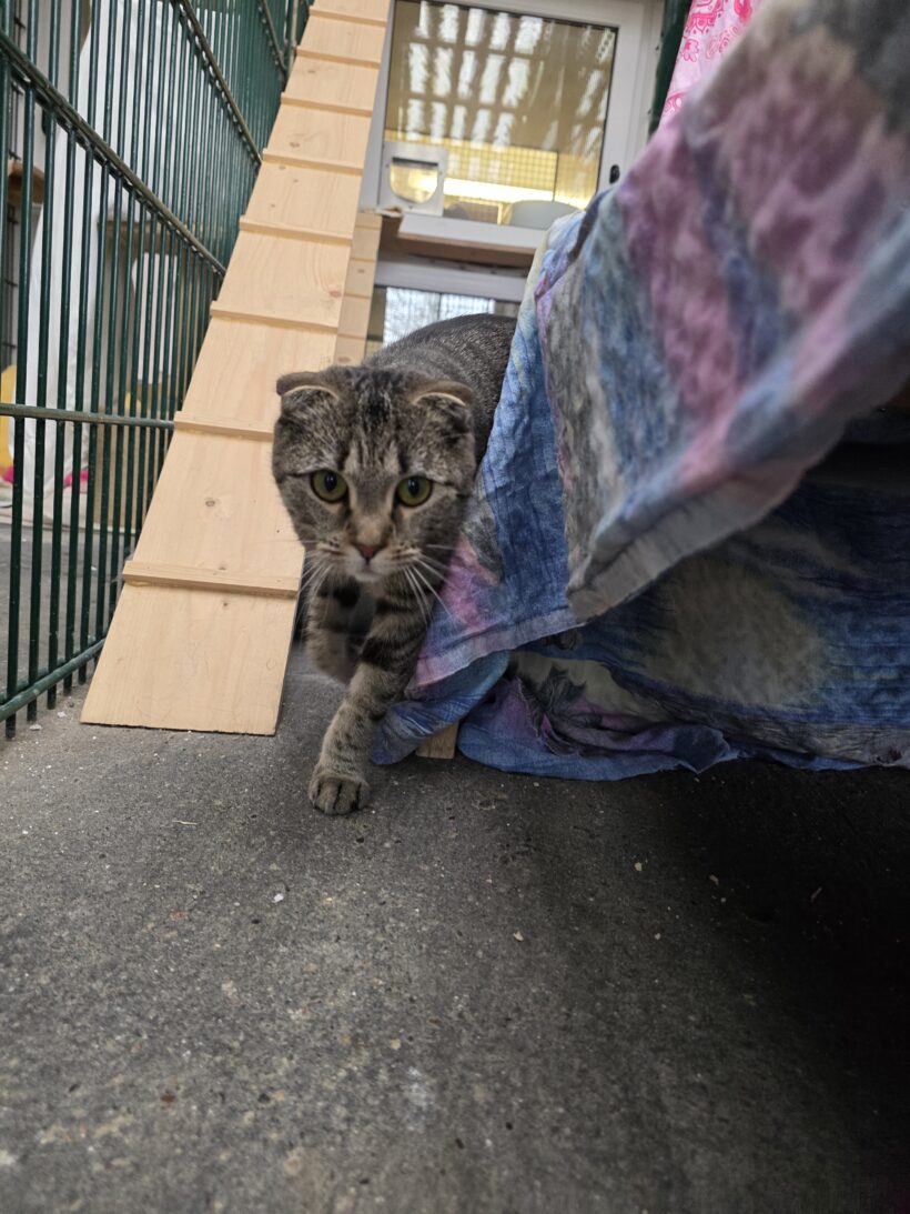 Ellena – Wohnungshaltung! Ellena – Wohnungshaltung!