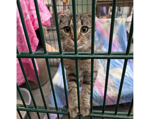 Ellena – Wohnungshaltung! Ellena – Wohnungshaltung!