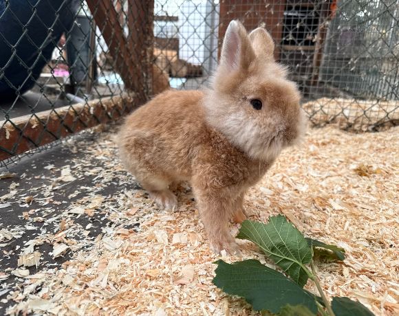 Roland – EC positiv! Roland – EC positiv!