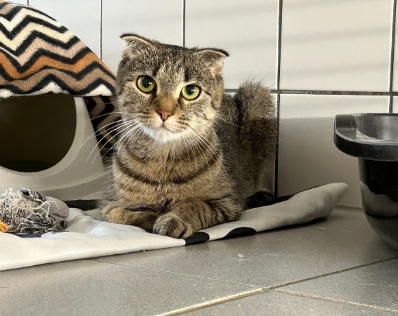 Ellena – Wohnungshaltung! Ellena – Wohnungshaltung!