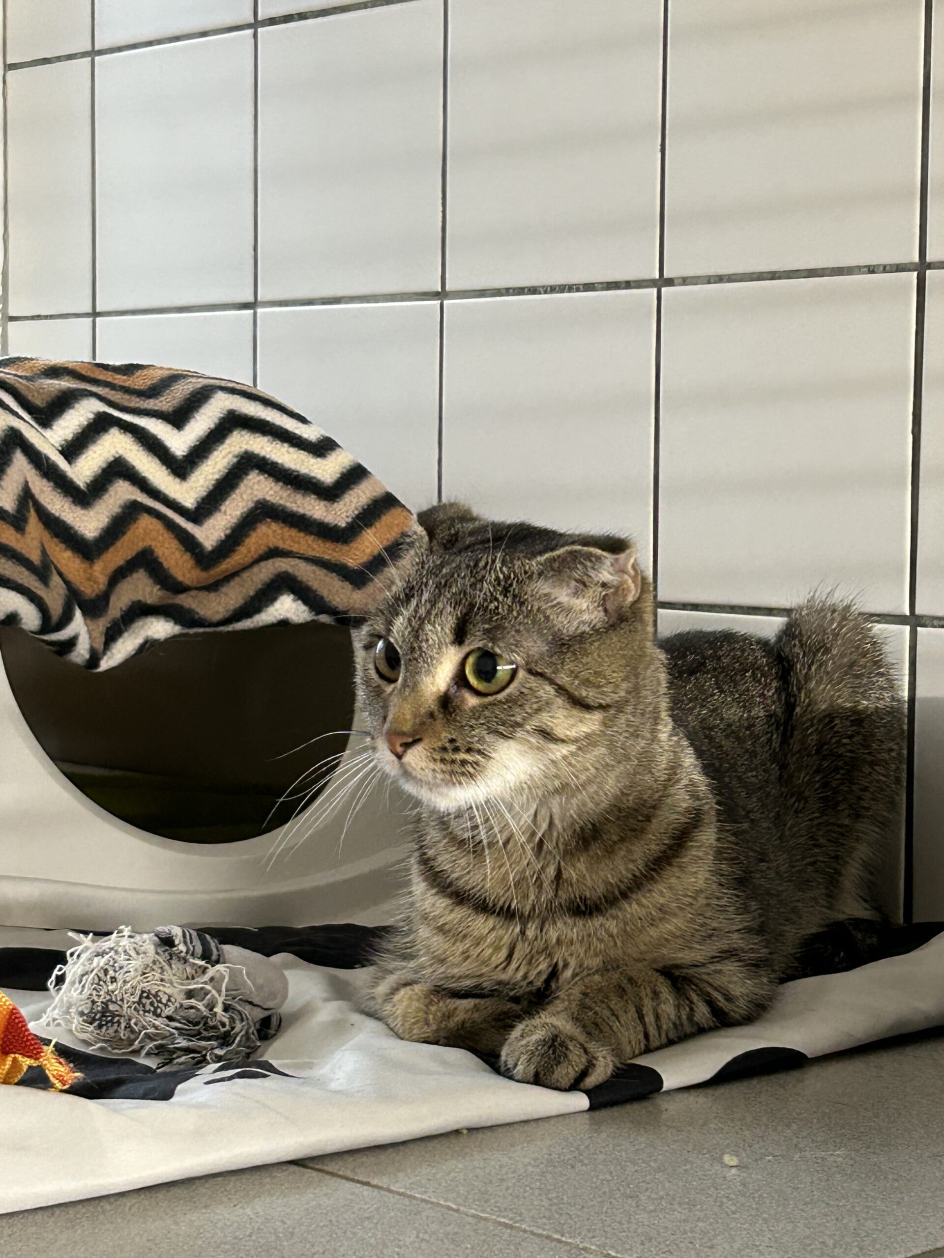 Ellena – Wohnungshaltung! Ellena – Wohnungshaltung!