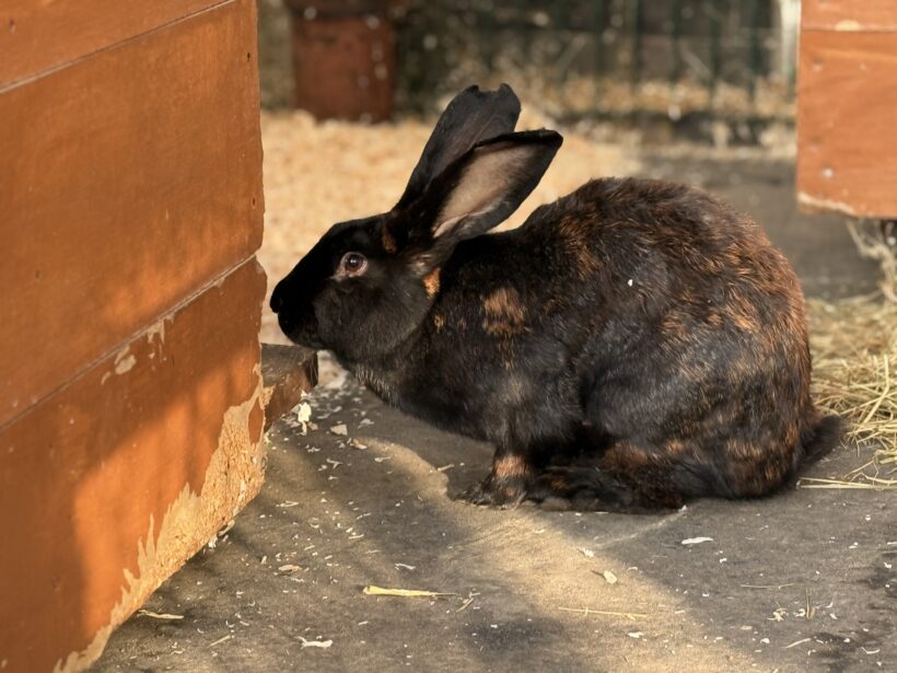 Valessa und Phillipus Valessa und Phillipus