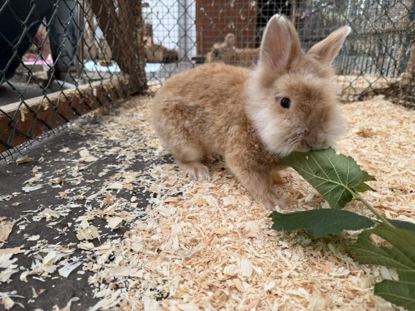 Roland – EC positiv! Roland – EC positiv!