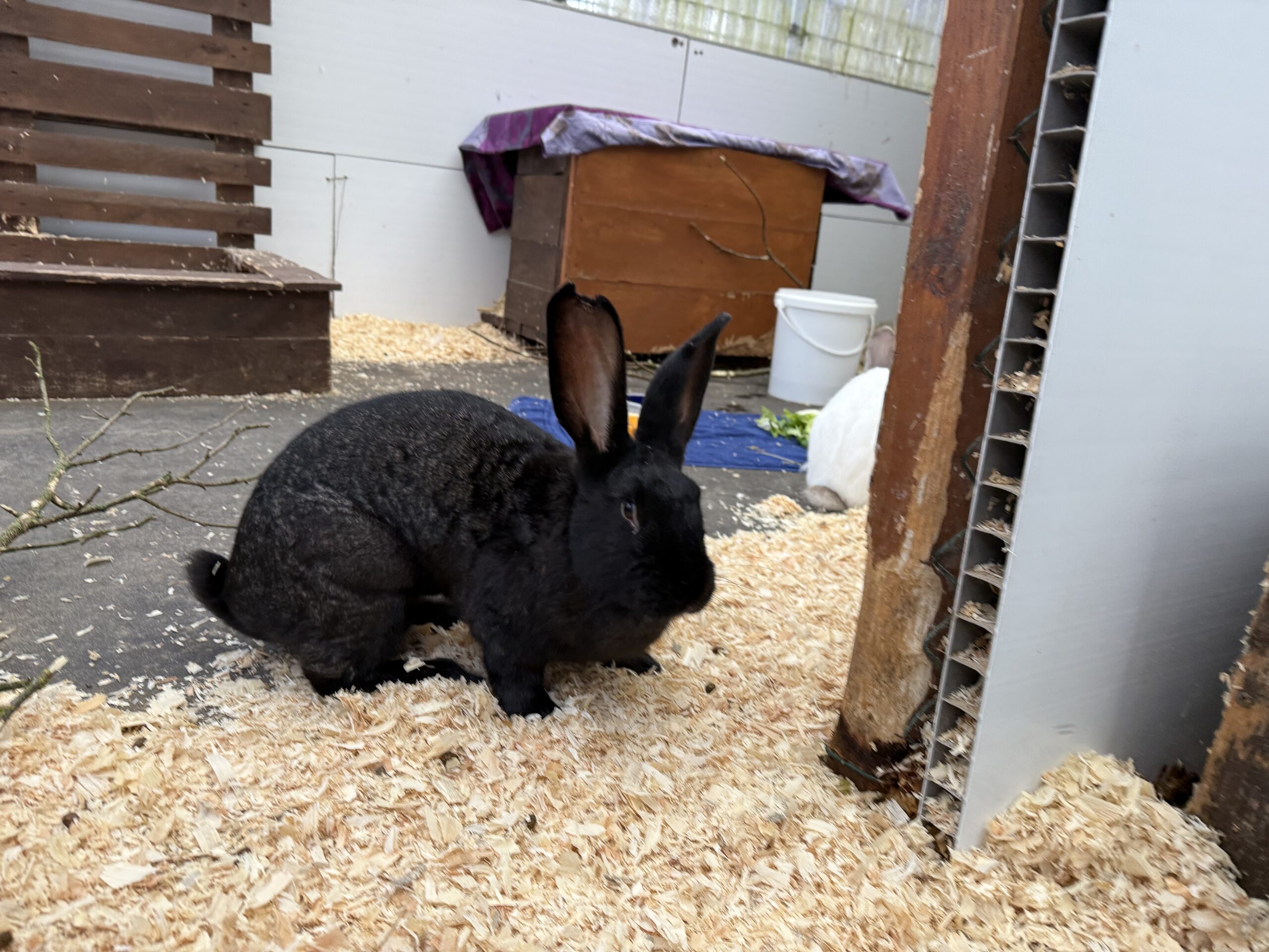 Valessa und Phillipus Valessa und Phillipus