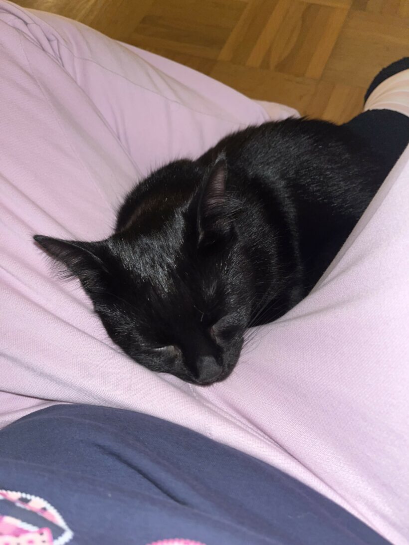 Naemi – Wohnungshaltung möglich Naemi – Wohnungshaltung möglich