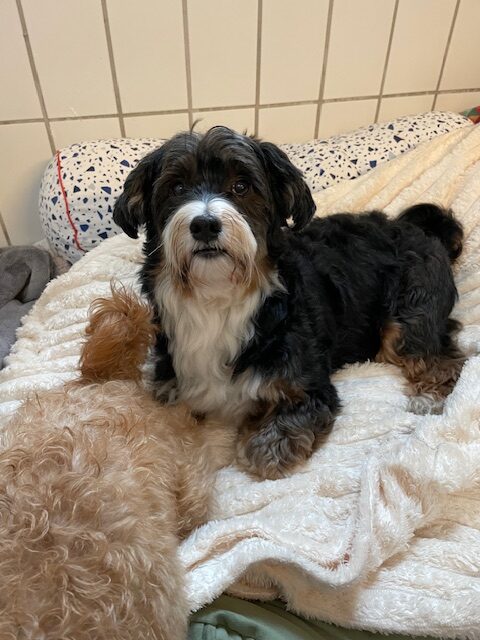 Maylo (und Cookie) Maylo (und Cookie)