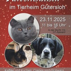 Adventsbasar am 23.11.2025 im Tierheim Gütersloh